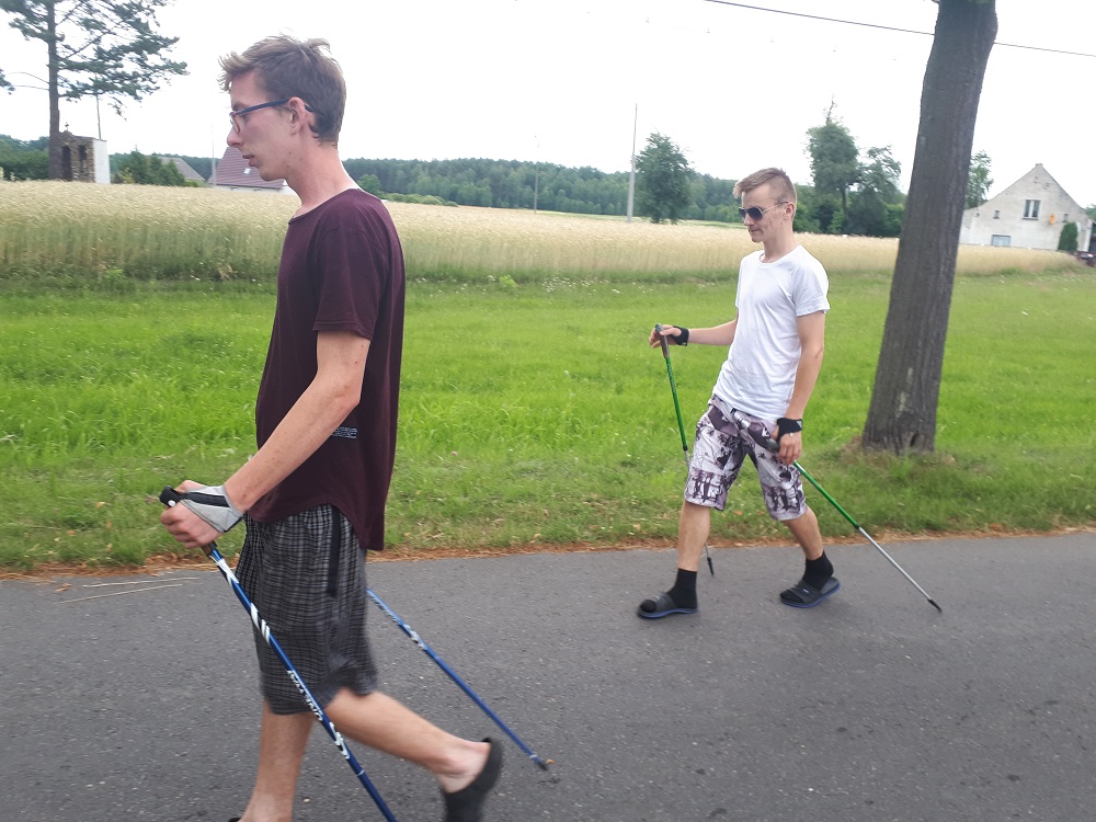 dddd44